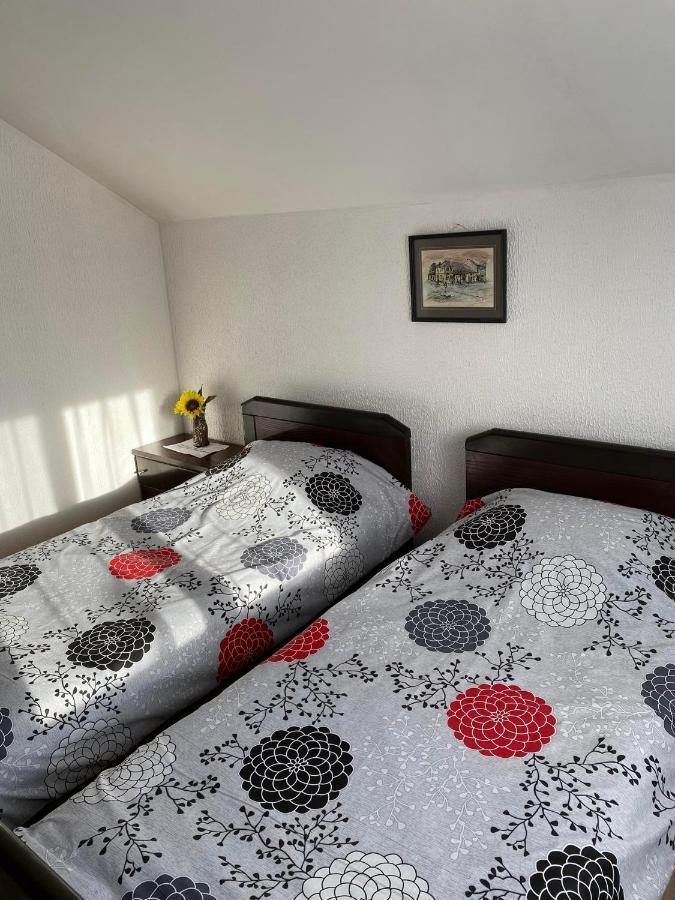 Micin Dom Apartamento Pirot Exterior foto